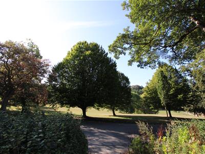 Picture 9